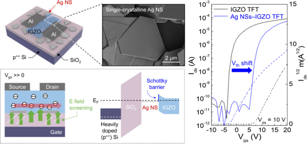 Scalable Integration of Single-Crystalline Ag Nanosheets for Threshold Voltage Engineering in Oxide Thin-Film Transistors 게시글 썸네일