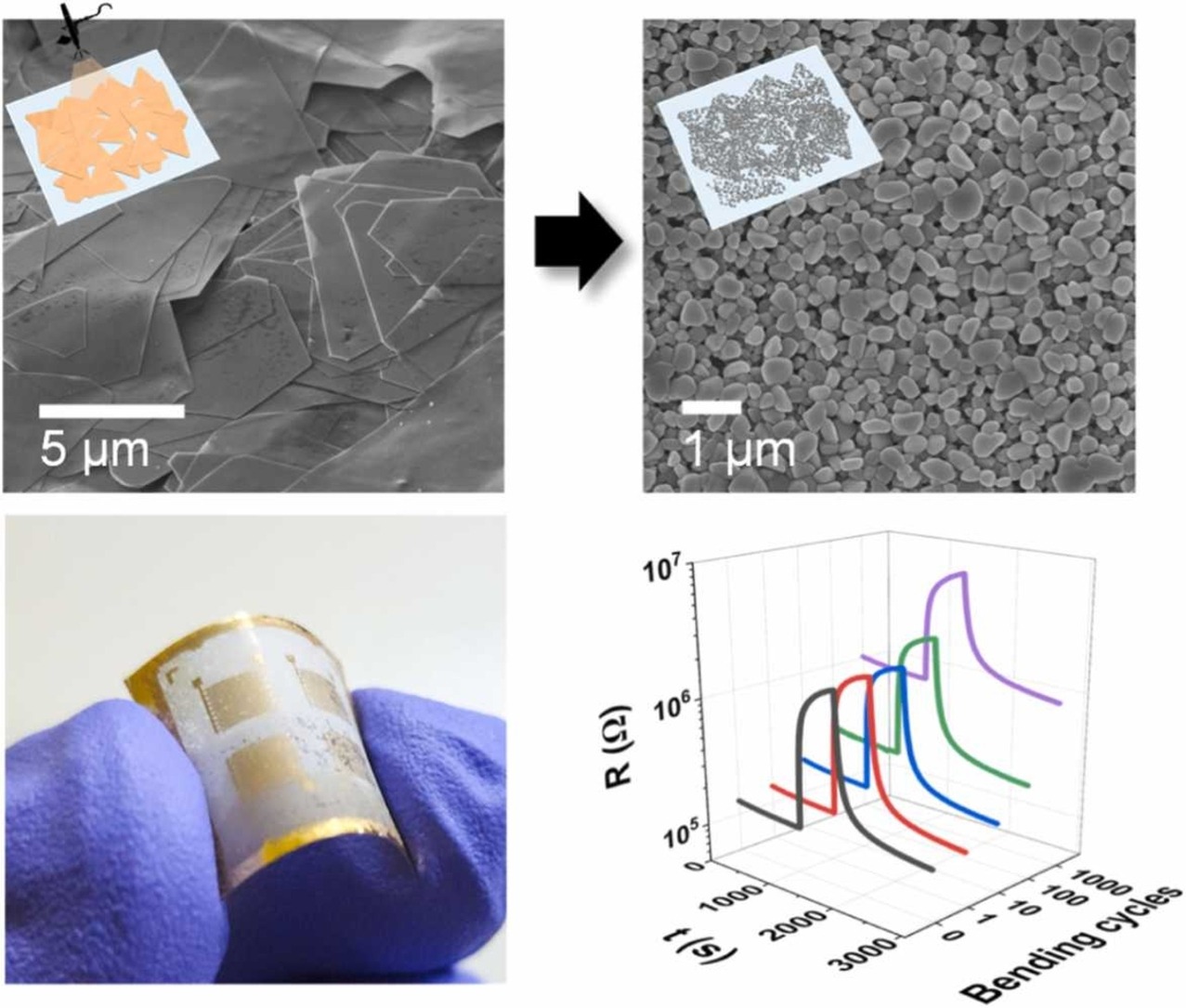 Low-temperature solution-processed flexible NH3 gas sensors based on porous CuBr films derived from 2D Cu nanosheets 게시글 썸네일