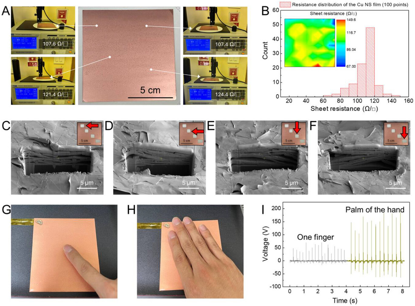 Reconfiguring Hierarchical Porous Architecture of 2D Metal Nanosheets for Multifunctional Triboelectric Nanogenerators 게시글 썸네일